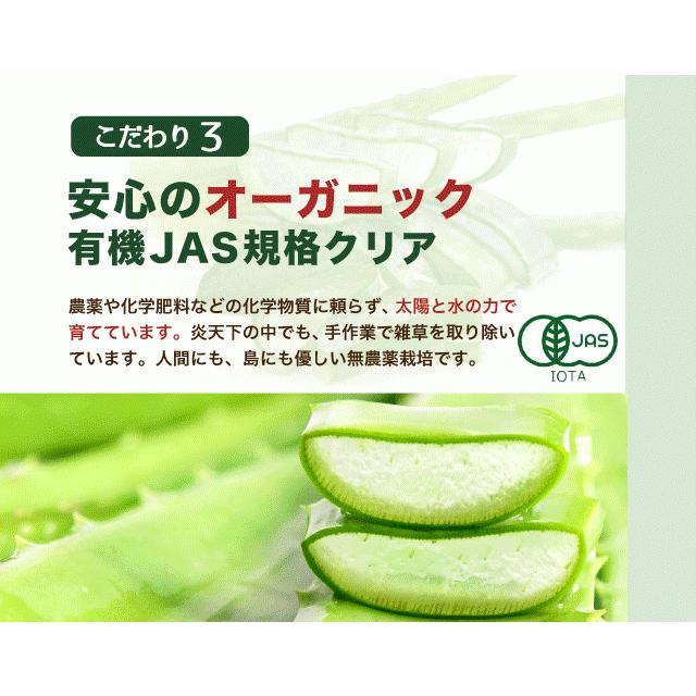アロエベラ 食用 生葉 10〜10.5kg 沖縄・宮古島産｜有機JAS 