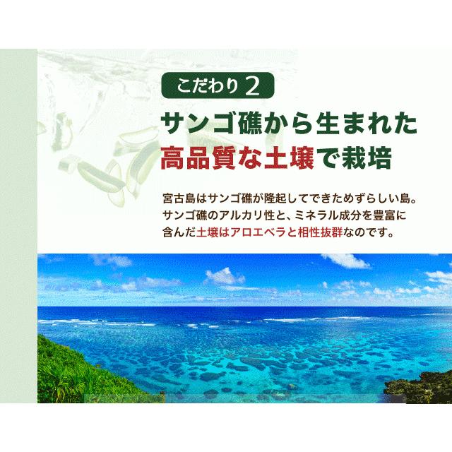 アロエベラ 食用 生葉 10〜10.5kg 沖縄・宮古島産｜有機JAS オーガニック 国産アロエ｜shirounouen｜09