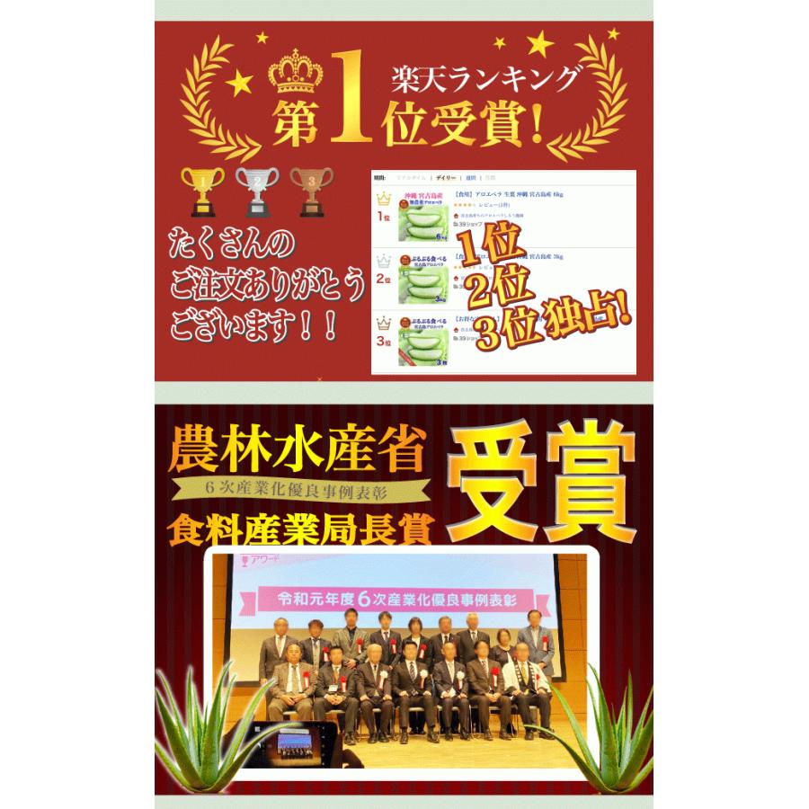 栽培 アロエベラ 苗 3株 沖縄 宮古島産 有機jas 301 しろう農園 通販 Yahoo ショッピング