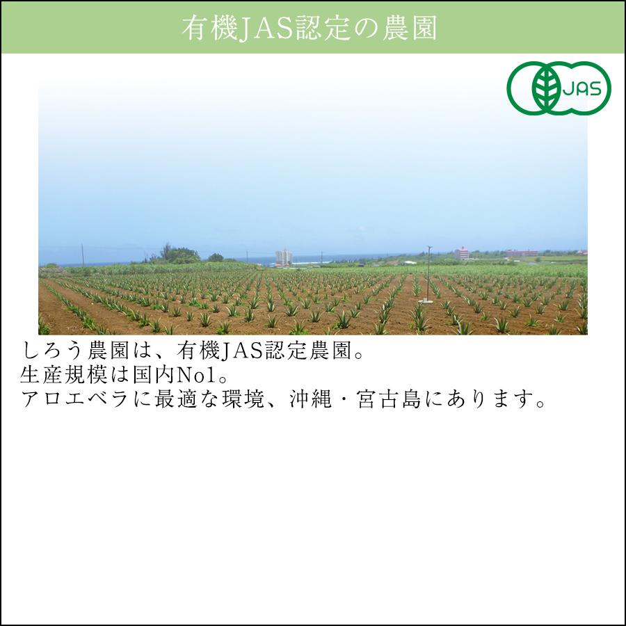 アロエ化粧水・アロエジェル代わりにアロエベラ原液（150ml×1本）無添加 詰め替え用 有機JAS 国産 オーガニック【アロエ ピュアエッセンス】 |  | 06