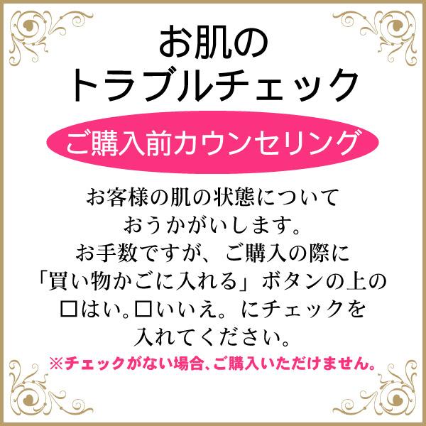 REVITAL 資生堂 リバイタル リフティングパクト オークル20 （レフィル