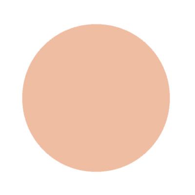 REVITAL 資生堂 リバイタル リフティングパクト ピンクオークル10