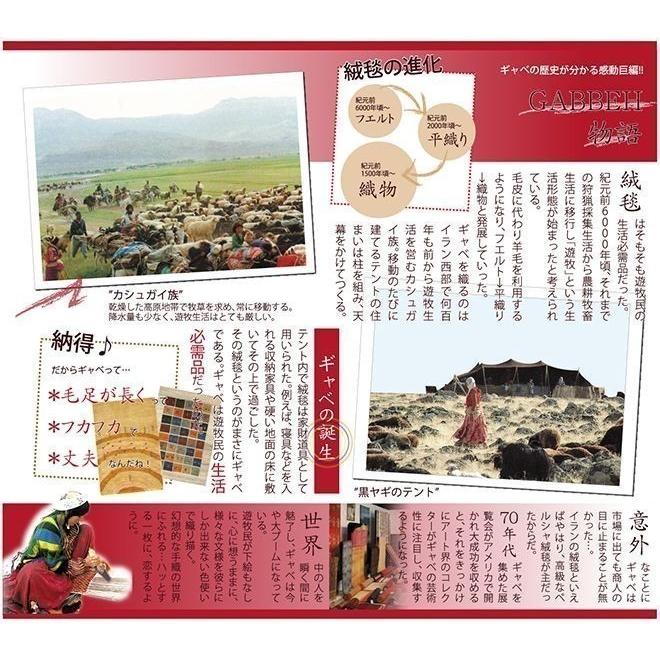 【アウトレット品】 イラン産 リズバフギャベ（ギャッベ）147×104cm ラグマット 【PET1412324419】(51040円)