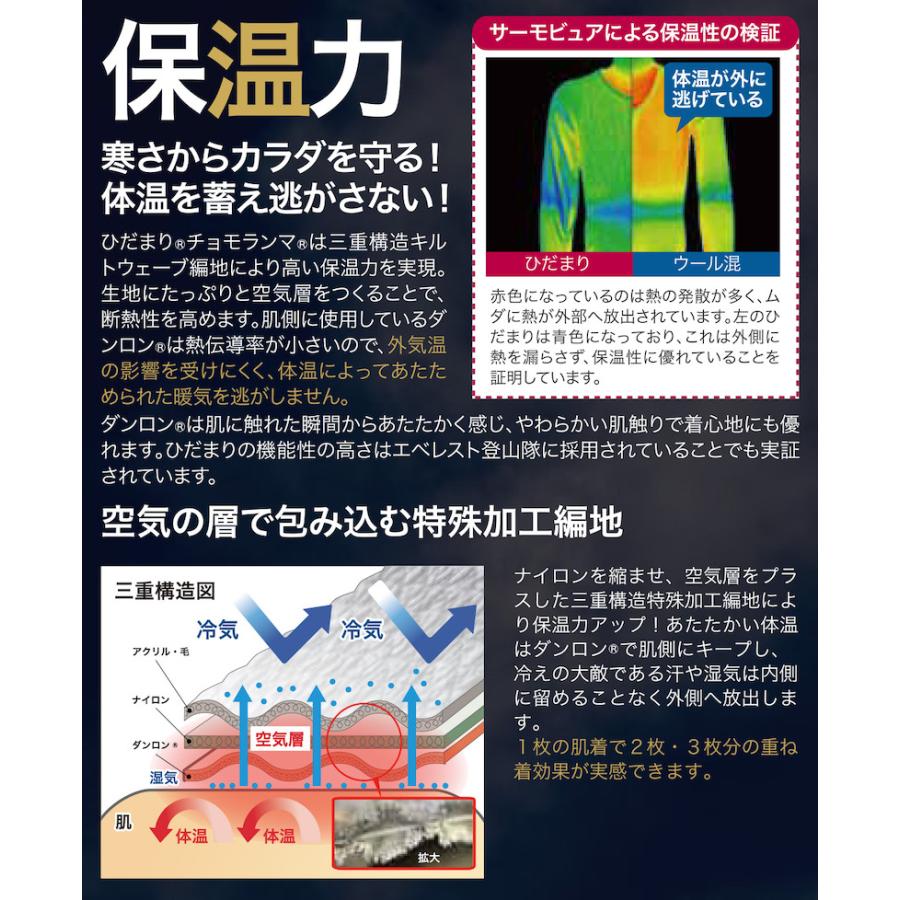 ひだまり 健康肌着 チョモランマ サピウム 紳士用 長袖丸首シャツ