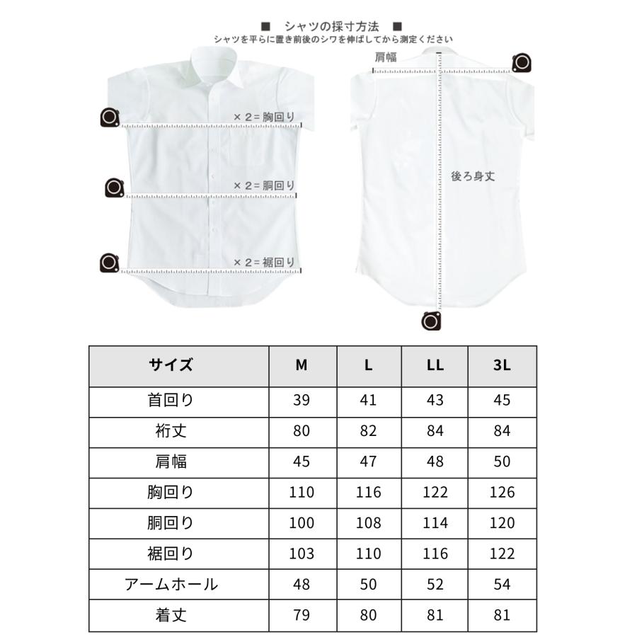 ワイシャツ メンズ 長袖 白 2枚セット 衿型 レギュラー 形態安定 Y