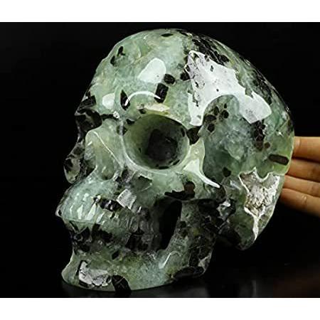 【年間ランキング6年連続受賞】 Super Prehnite 6.7” 特別価格Skullis Realistic F好評販売中 Gemstone Carved Hand Skull, Crystal バックパック、ザック