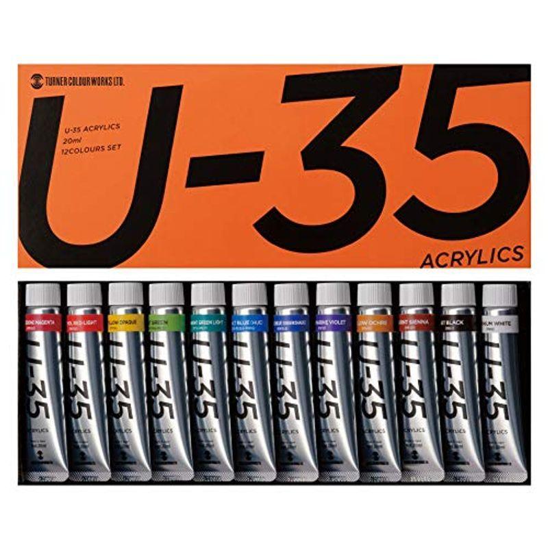 正規ターナー色彩 アクリル絵具 U-35 ヘビーボディータイプ 12色セット UA02012C 20ml