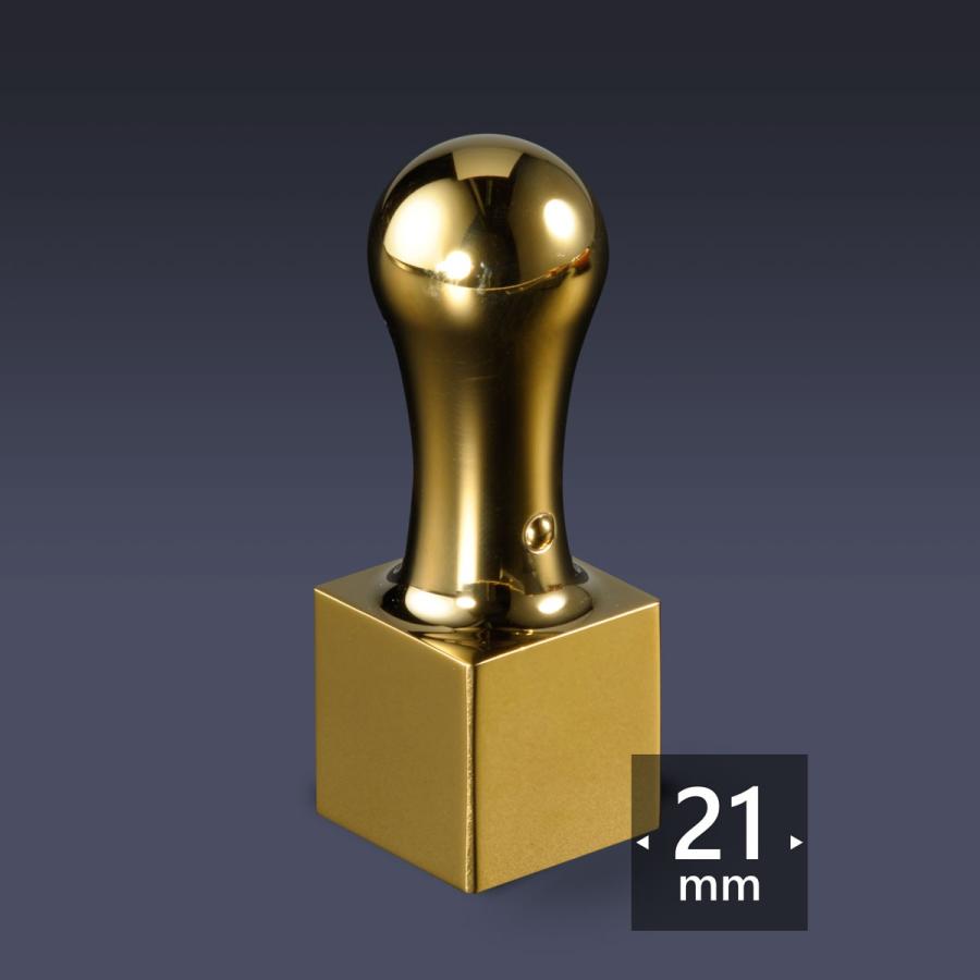 司法書士 職印 ミラーチタン ゴールド 角天丸21ミリ　弁護士 司法書士 税理士 弁理士 社会保険労務士 行政書士