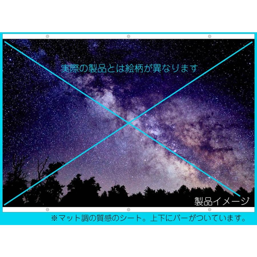 撮影用背景紙 オーロラ イージーバックペーパー 1200mmx900mm : 紙専館