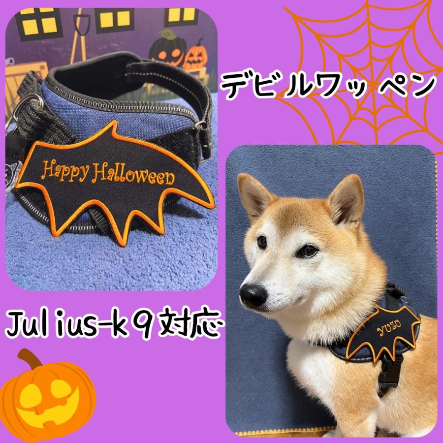 USJホラーナイト×スヌーピー ピンズコンプリートセット