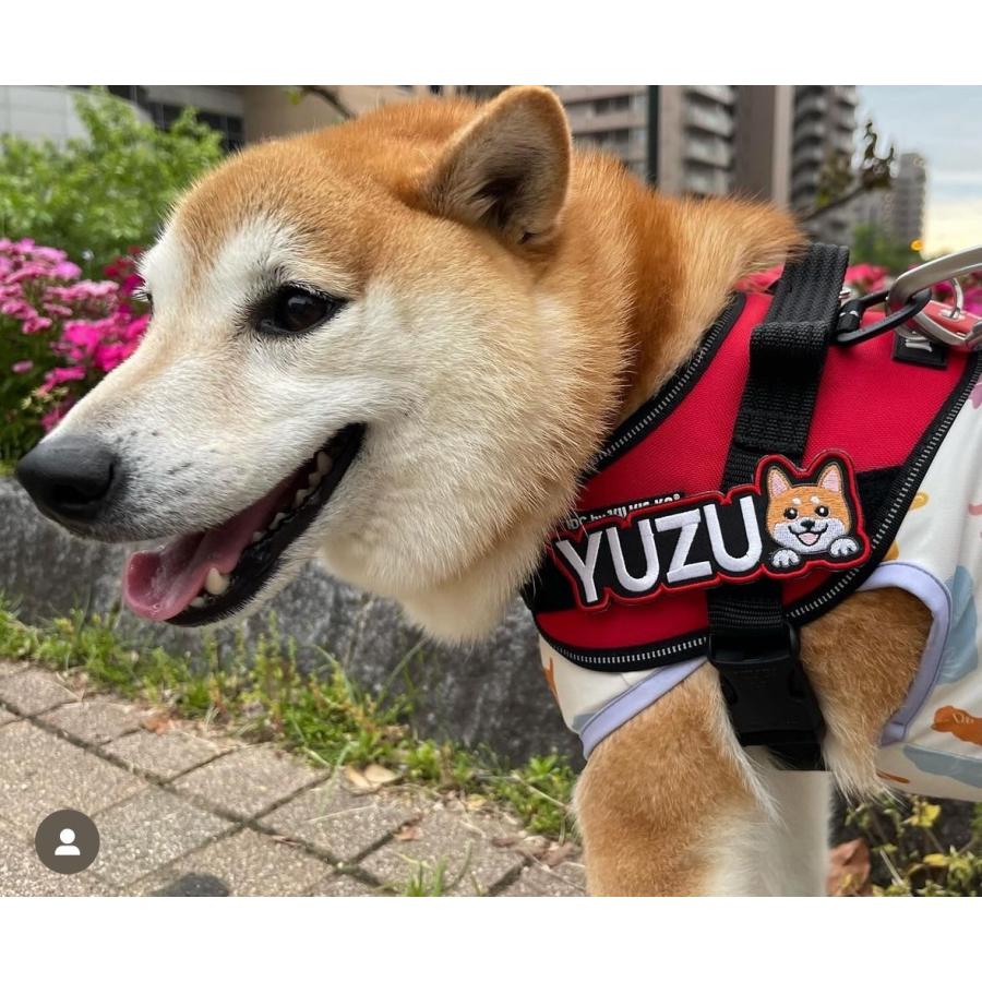 犬 ハーネス ユリウスk9 ネームタグ 名前入り ワッペン 刺繍 MIX