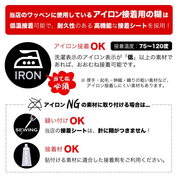 ラメ アルファベット 数字 記号 ワッペン ゴシック 15 cm ふち刺繍 1文字 アイロン接着 色サイズが選べる Order Made Wappen オーダーメイドワッペン Aw01fmx1 3 刺繍アトリエ Yahoo 店 通販 Yahoo ショッピング