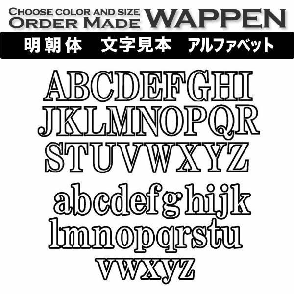 アルファベット ワッペン 明朝体 3 8cm ふち刺繍 １文字 アイロン 色 サイズが選べる Order Made Wappen オーダーメイドワッペン Aw02fx1 刺繍アトリエ Yahoo 店 通販 Yahoo ショッピング