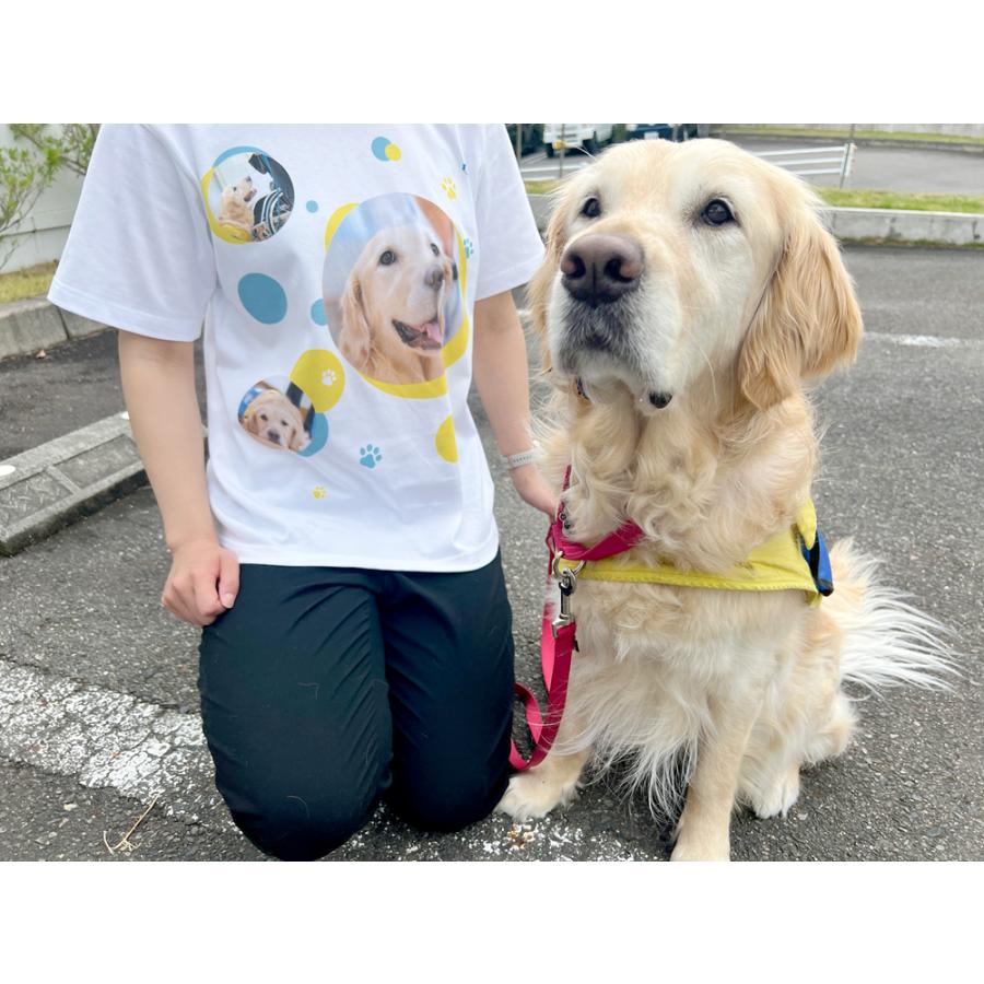 パラチャンネルオリジナルTシャツ　パラチャンネル　日本介助犬協会　プリント　インクジェット　送料無料　寄付　多様性　障害　福祉｜shishuyasan｜06