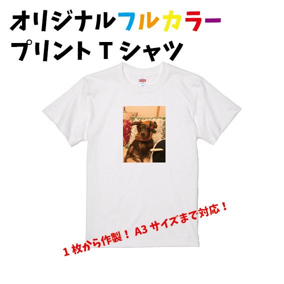 オリジナルフルカラープリントTシャツ 1枚から作製 写真 イラスト