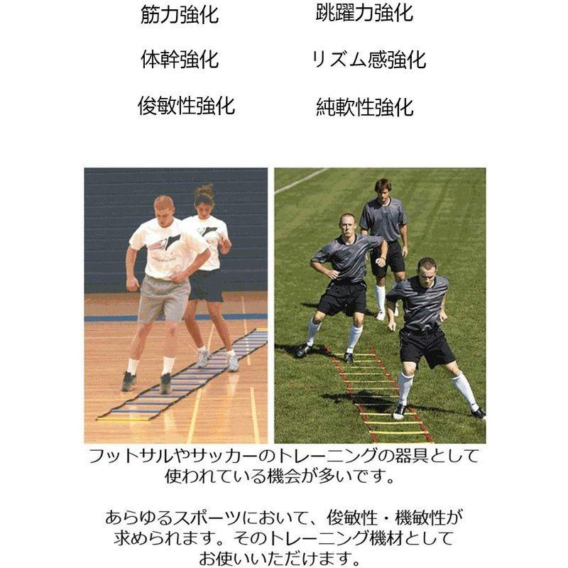 Sale 96 Off トレーニングラダー Polysky ラダー トレーニング 野球 サッカー 3m 5m 6m 10m 収納袋付き スピードラダー 瞬発力 敏捷 Cisama Sc Gov Br