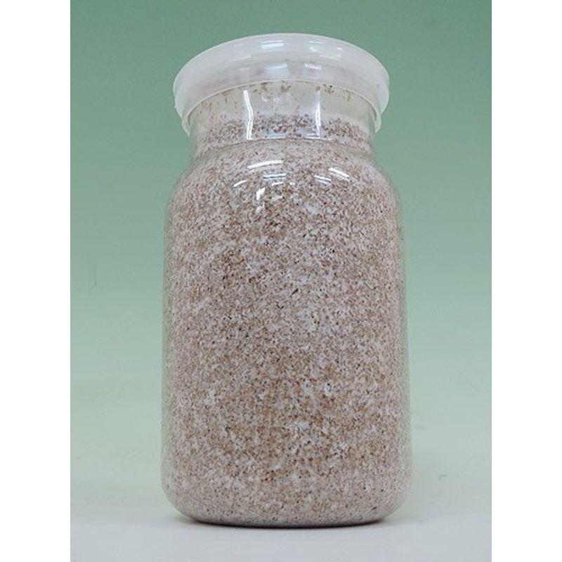 802円 超美品 菌糸ビン Ep 1100 クワガタ幼虫用透明容器