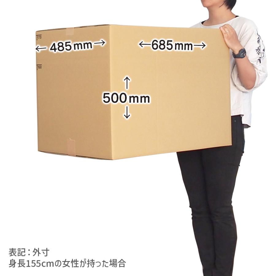ダンボール 170サイズ 長さ680×幅480×高さ490ｍｍ C-特大ケース（1枚） | ブランド登録なし | 02