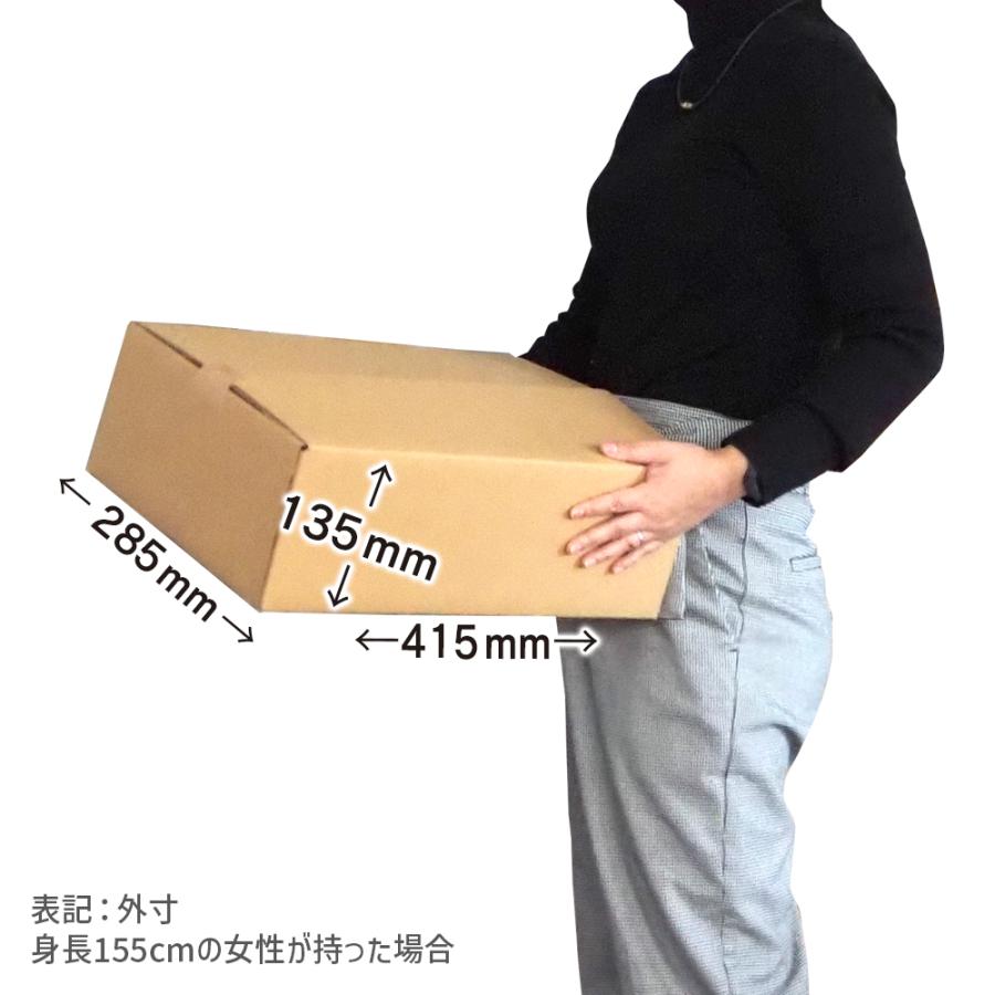 ダンボール 100サイズ 長さ410×幅280×高さ125mm Dケース（1枚） | ブランド登録なし | 02