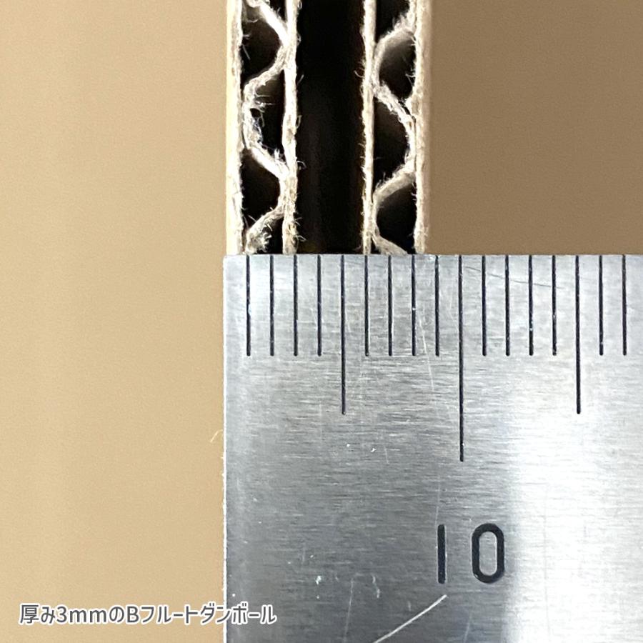 ダンボール 100サイズ 長さ497×幅350×高さ64ｍｍ ECケース（1枚） | ブランド登録なし | 08