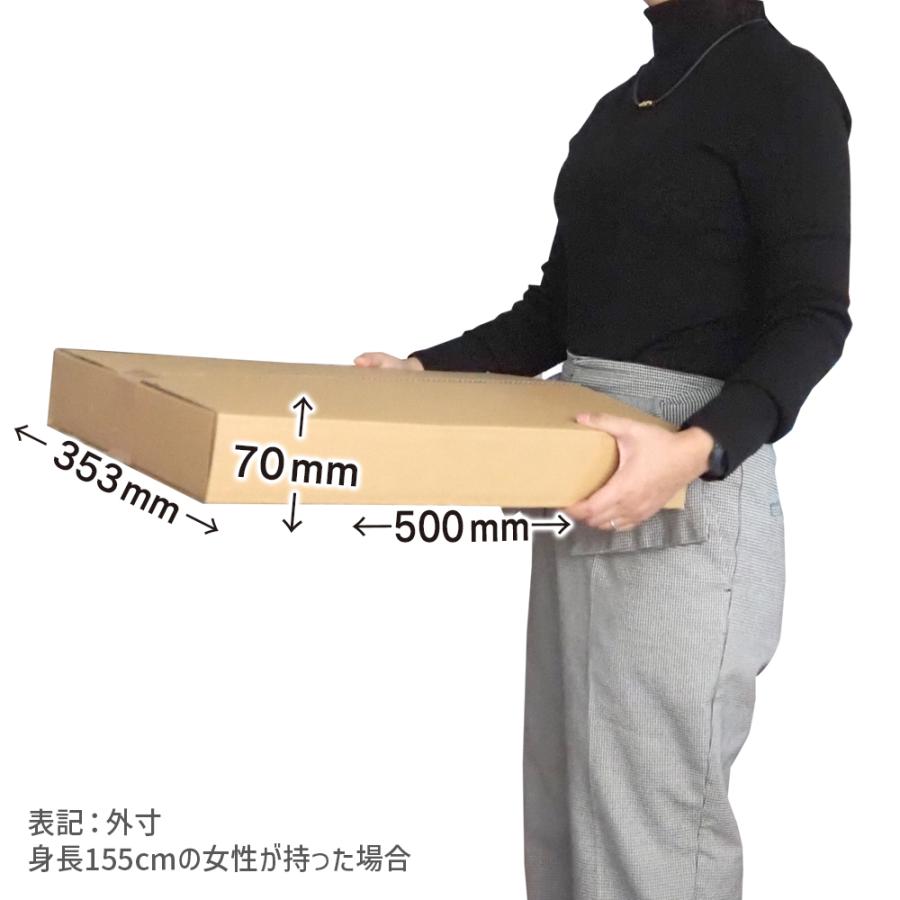 ダンボール 100サイズ 長さ497×幅350×高さ64ｍｍ ECケース（1枚） | ブランド登録なし | 02