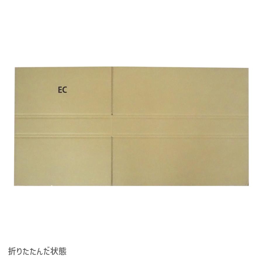 ダンボール 100サイズ 長さ497×幅350×高さ64ｍｍ ECケース（1枚） | ブランド登録なし | 07