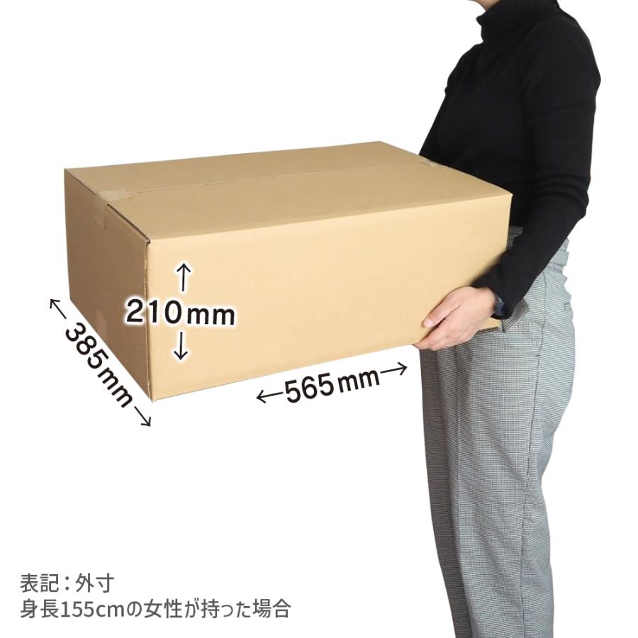 ダンボール 120サイズ 長さ560×幅380×高さ200mm J-3ケース（1枚） | ブランド登録なし | 02