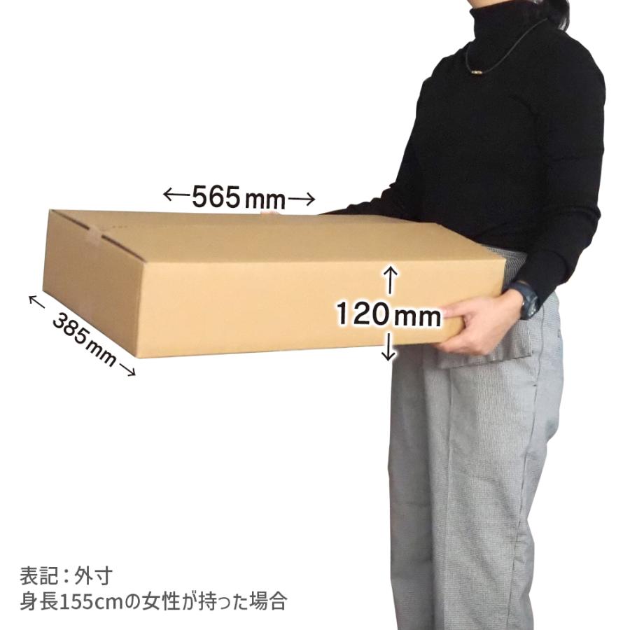 ダンボール 120サイズ 長さ560×幅380×高さ110ｍｍ J-4ケース（1枚） | ブランド登録なし | 02