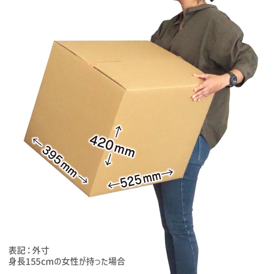 ダンボール 140サイズ 長さ520×幅390×高さ410ｍｍ P-2ケース（1枚） | ブランド登録なし | 02