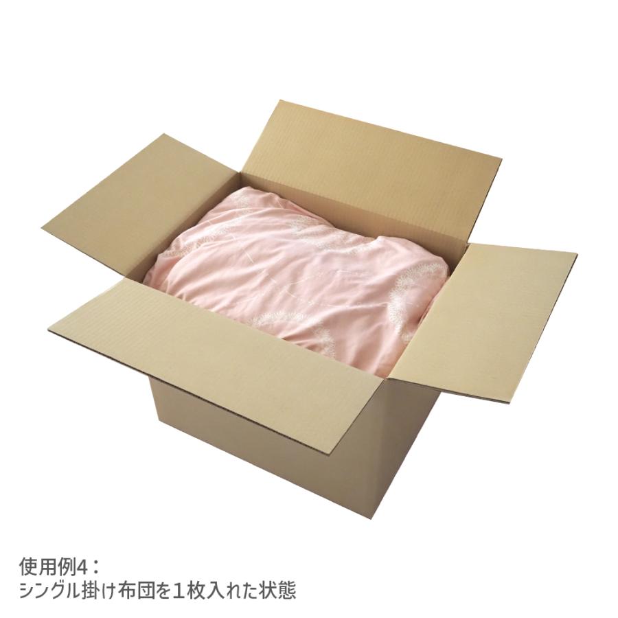 ダンボール 140サイズ 長さ520×幅390×高さ410ｍｍ P-2ケース（1枚） | ブランド登録なし | 06