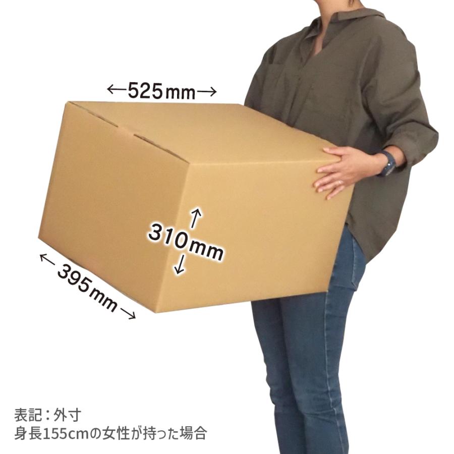 ダンボール 140サイズ 長さ520×幅390×高さ300mm P-2.5ケース（1枚