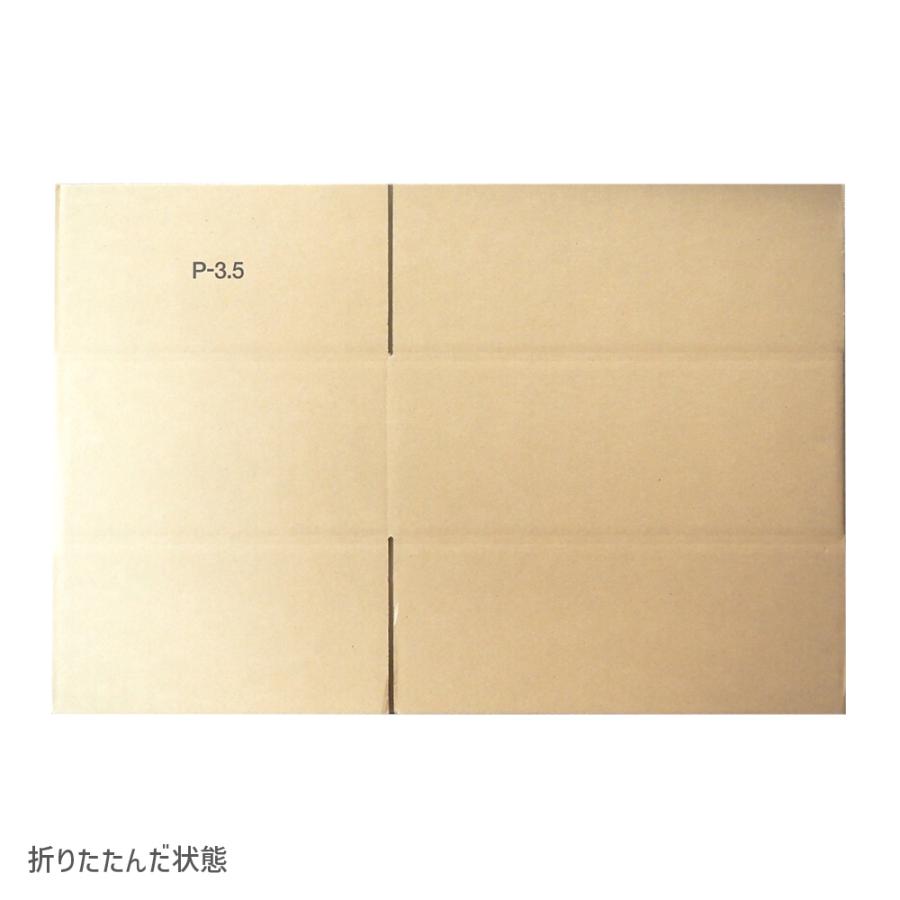 ダンボール 120サイズ 長さ520×幅390×高さ200mm P-3.5ケース（1枚