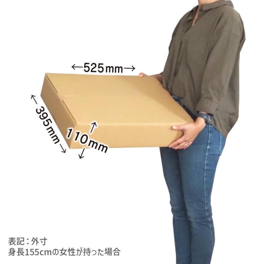 ダンボール 120サイズ 長さ520×幅390×高さ100mm P-4ケース（1枚） | ブランド登録なし | 02