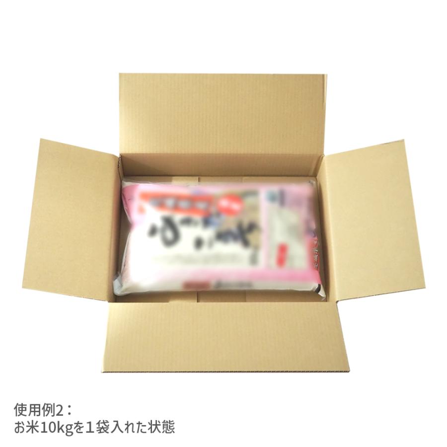 ダンボール 120サイズ 長さ520×幅390×高さ100mm P-4ケース（1枚） | ブランド登録なし | 04
