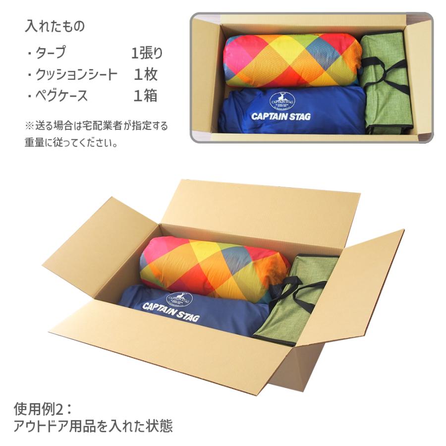 ダンボール 160サイズ 長さ800×幅470×高さ200ｍｍ TY-No.2ケース(1枚） | ブランド登録なし | 04