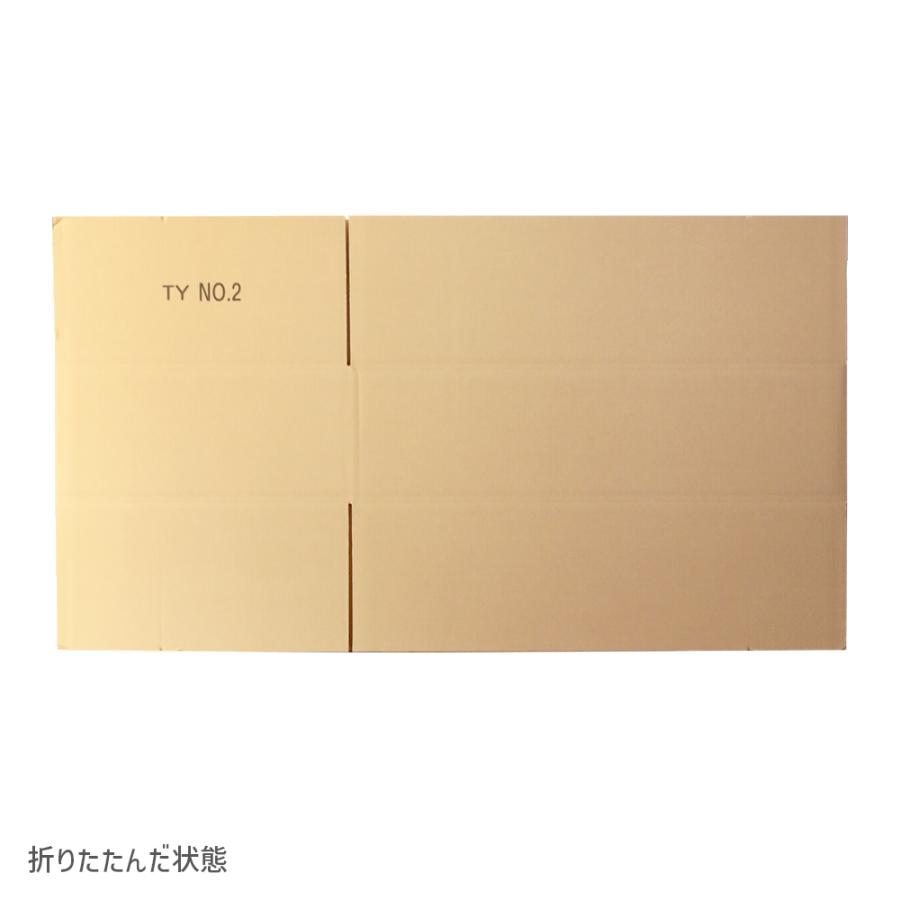 ダンボール 160サイズ 長さ800×幅470×高さ200ｍｍ TY-No.2ケース(1枚） | ブランド登録なし | 07