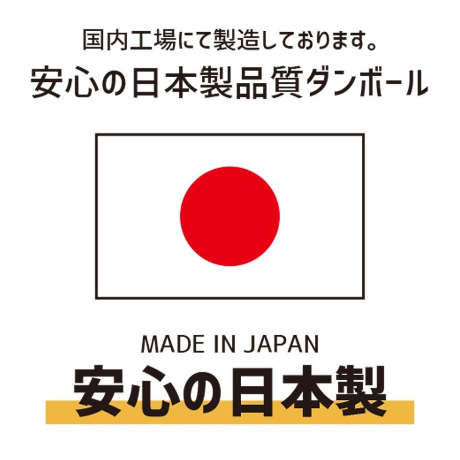 ダンボール 140サイズ 長さ800×幅470×高さ100mm TY-No.3ケース（1枚） | ブランド登録なし | 10
