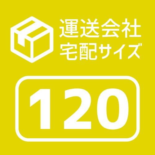 ダンボール 商品名/YNo.2S/長さ440×幅300×高さ300(mm)宅配120サイズ みかん箱タイプ A3サイズ（1枚） | ブランド登録なし | 10