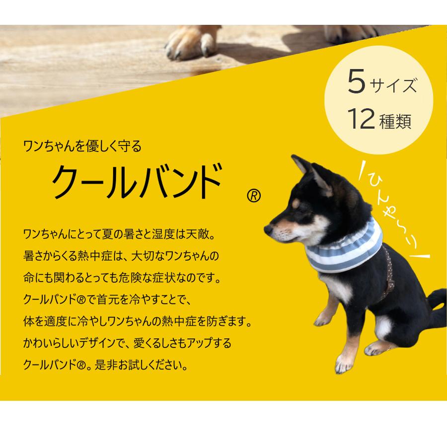 クールバンド & 保冷剤5個|shitamachi-pet|03