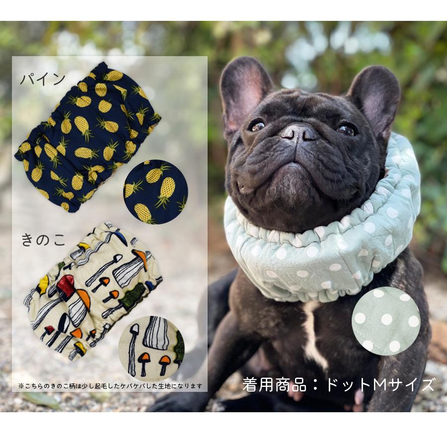クールバンド & 保冷剤5個|shitamachi-pet|04