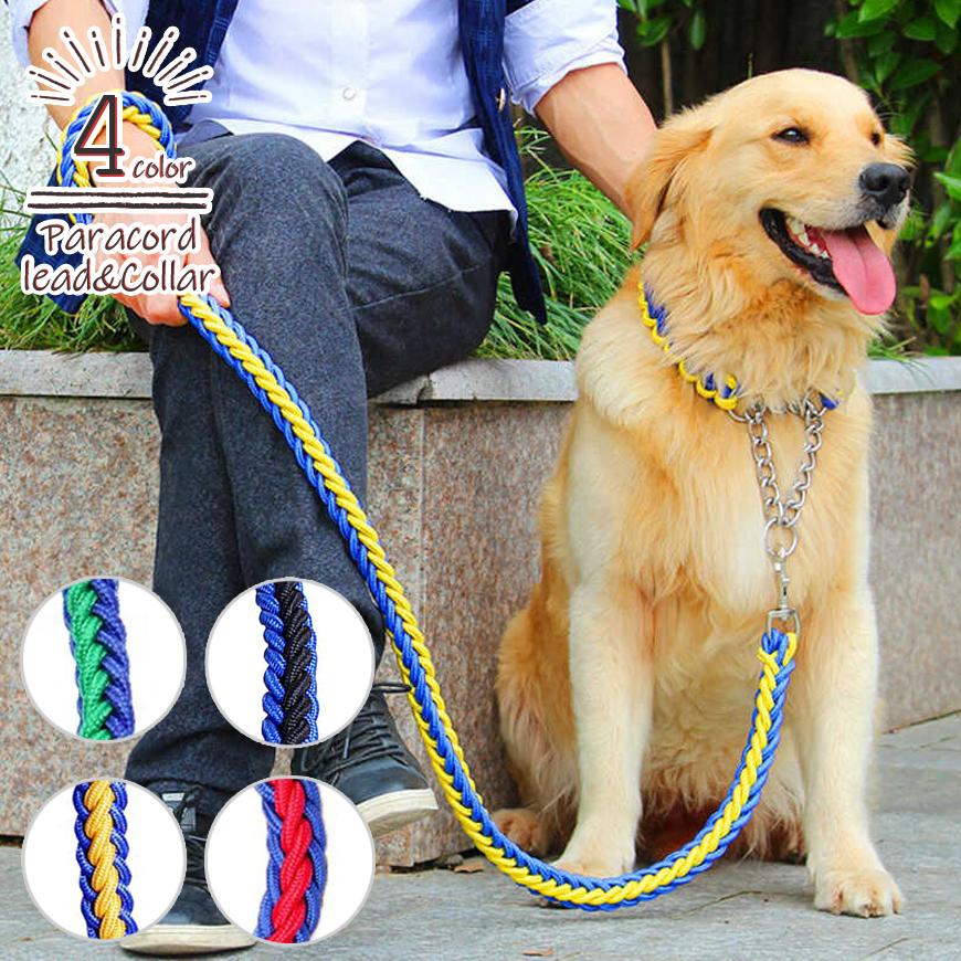 人気商品ランキング パラコード あみあみ リード ハーフチョーク首輪セット ソフトチョーク 犬 小型犬 中型犬 犬用 首輪 Aynaelda Com