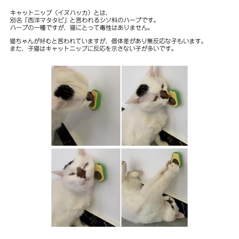 猫用 おもちゃ キャットニップボール 入り アボカド アボガド オモチャ