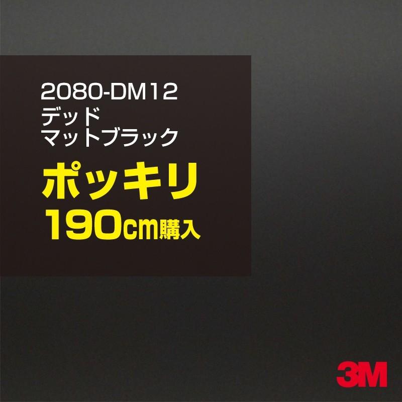 カーラッピングフィルム 車 3M 2080-DM12 デッドマットブラック 1524mm幅×190cmポッキリ購入 2080DM12 シート DIY スリーエム 送料無料 非ダイノック