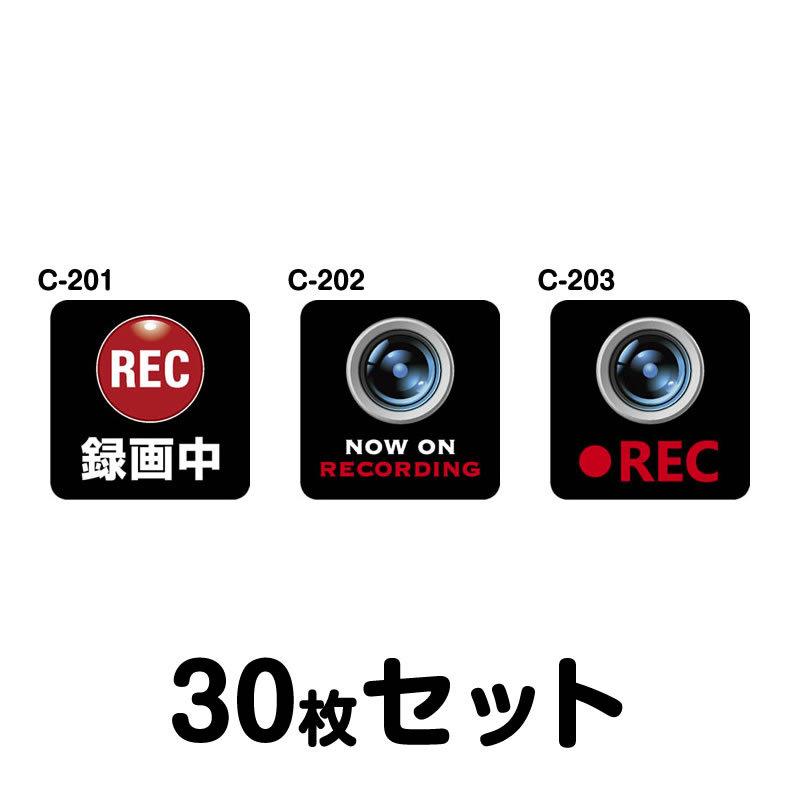 ドライブレコーダーステッカー（車内用）・30枚セット W120mm×H120mm C-201／C-202／C-203 ドラレコ ドライブレコード搭載 録画中 車