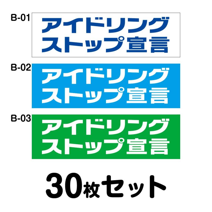 人気ブランド 送料無料 マグネット変更ok 人気サイズ エコドライブステッカー 普通車用 30枚セット W250mm H75mm B 01 B 02 B 03 豪華 Zoetalentsolutions Com