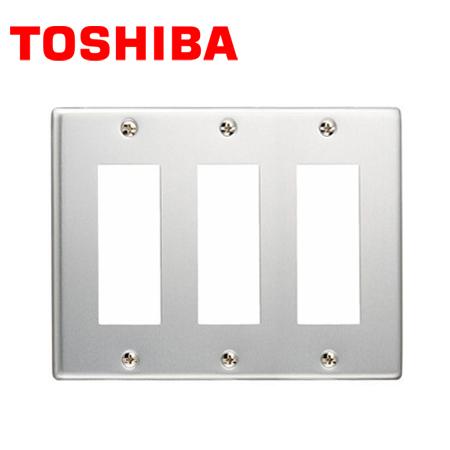東芝ライテック TOSHIBA/東芝ライテック DG6119N E's スイッチ用