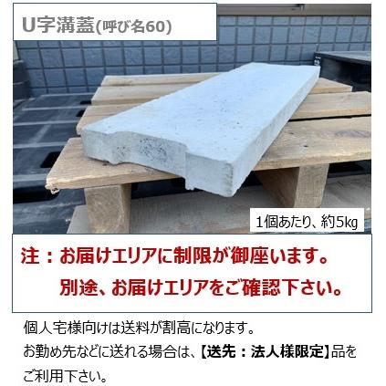 Ｕ字溝　２枚 個人宅OK コンクリU字溝本体60 L＝600mm お届けエリア本州限定