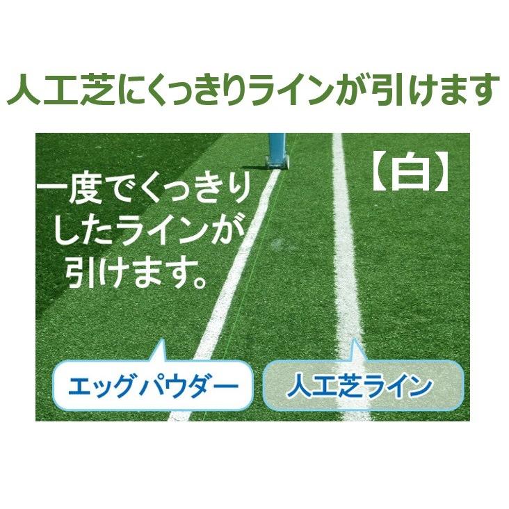 法人様限定 エッグパウダー　白　１箱単位（２０Ｋｇ×５袋） お届けエリア本州限定