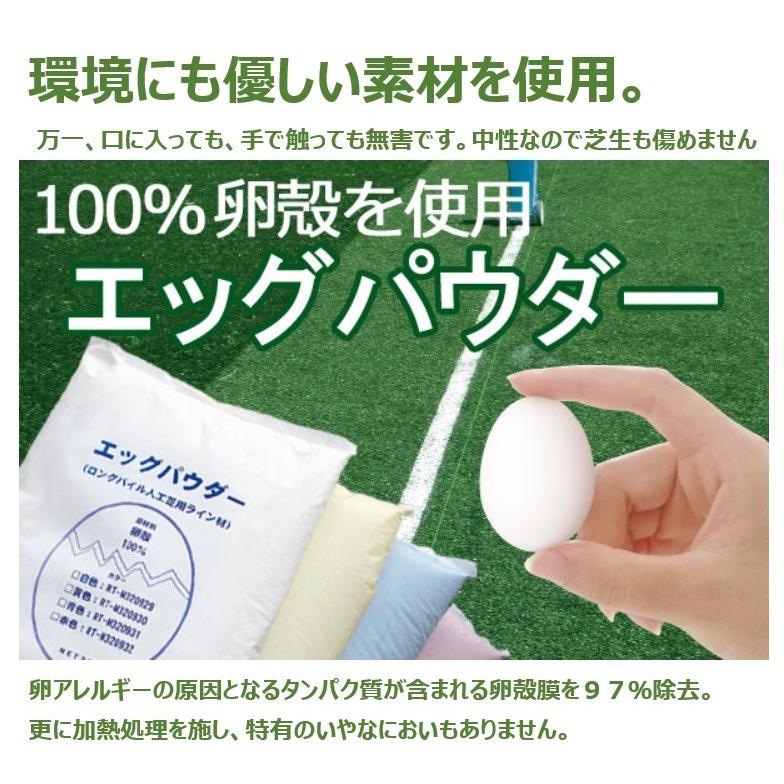 法人様限定 エッグパウダー　白　１箱単位（２０Ｋｇ×５袋） お届けエリア本州限定_1
