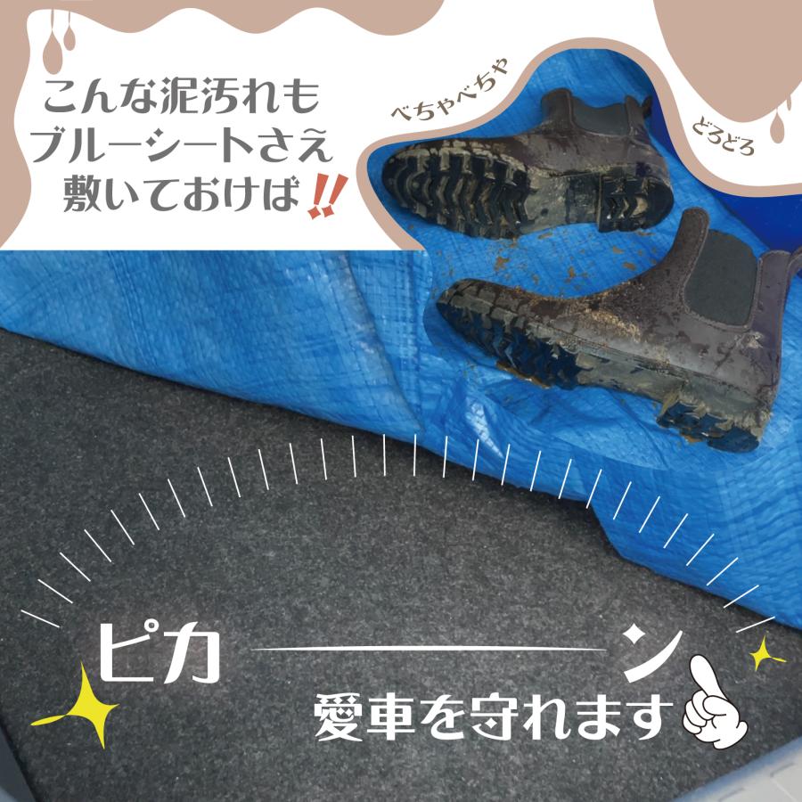 ブルーシート #2000 10m×10m 2枚入 中厚 補強 ハトメ 防水 防災 台風
